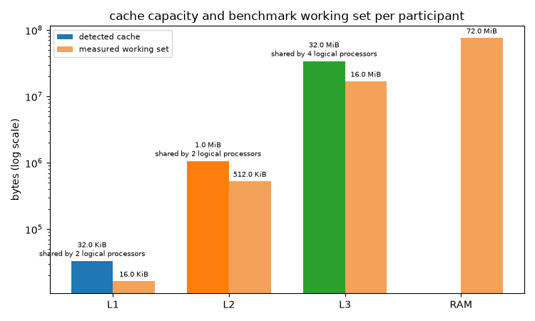 cache capacity and benchmark working set per participant